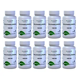 Hallchancapiedra x 600 Cap - Chancapiedra Kidney & Urinary - Phyllanthus Niruri 1000 mg - Natural Herbal Detox - Dietary Supplement - Hallusa Natural