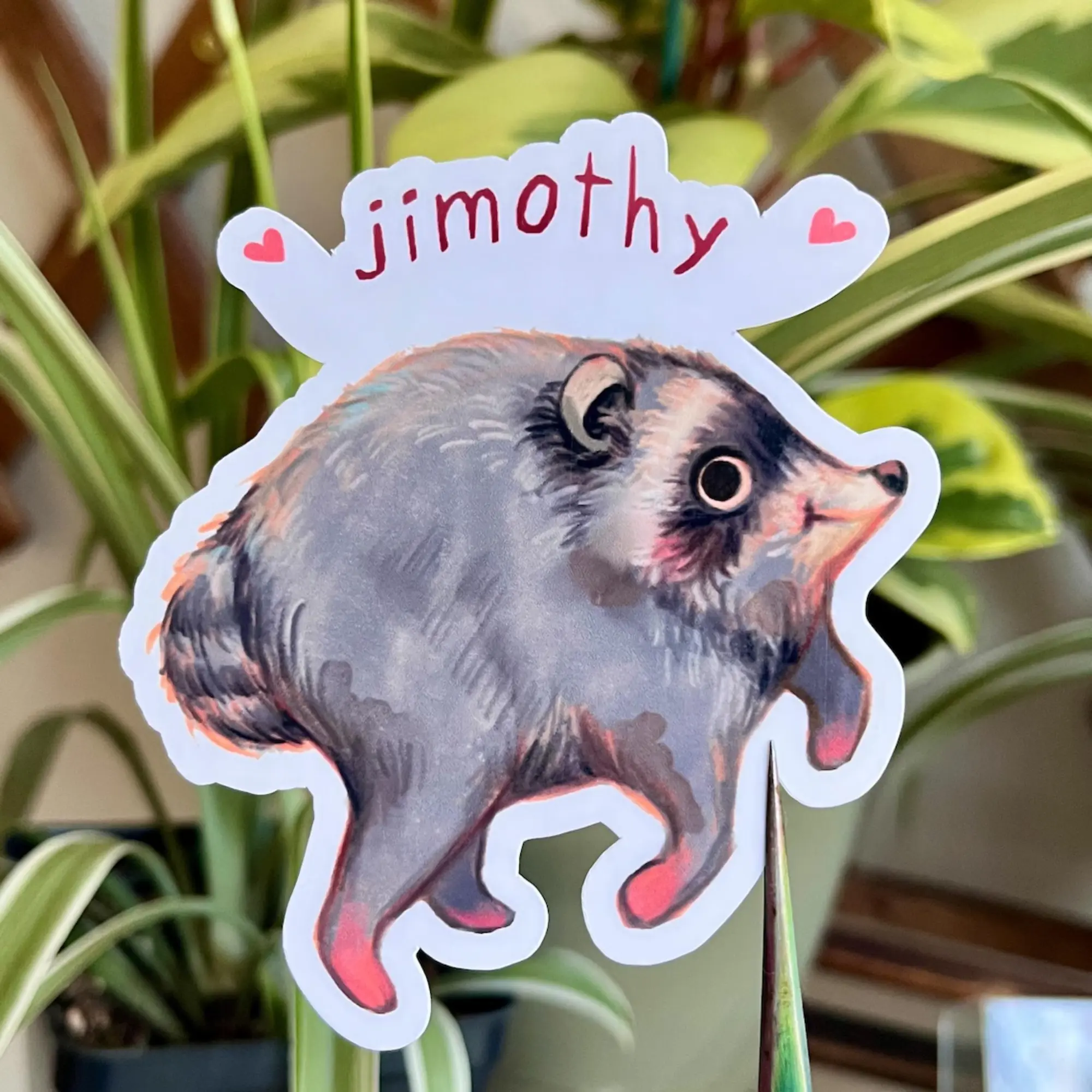 [9 Style] Jimothy Sticker, Seattle Raccoon, Wildlife Illustration Vinyl Sticker, PNW Nature, Cute Animal Gift, Short Spine Syndrome