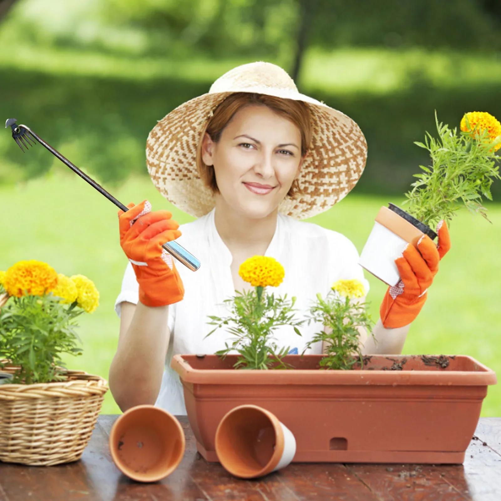 Multi-Functional Weeding Tool | Root Pulling Hoe & Soil Loosening Shovel | Durable Garden Weed Puller for Vegetable Planting | Upgraded Gardening Hand Tool
