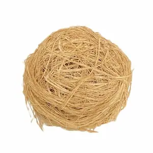 African Wooden  Exfoliating Sponge | Pack of 6