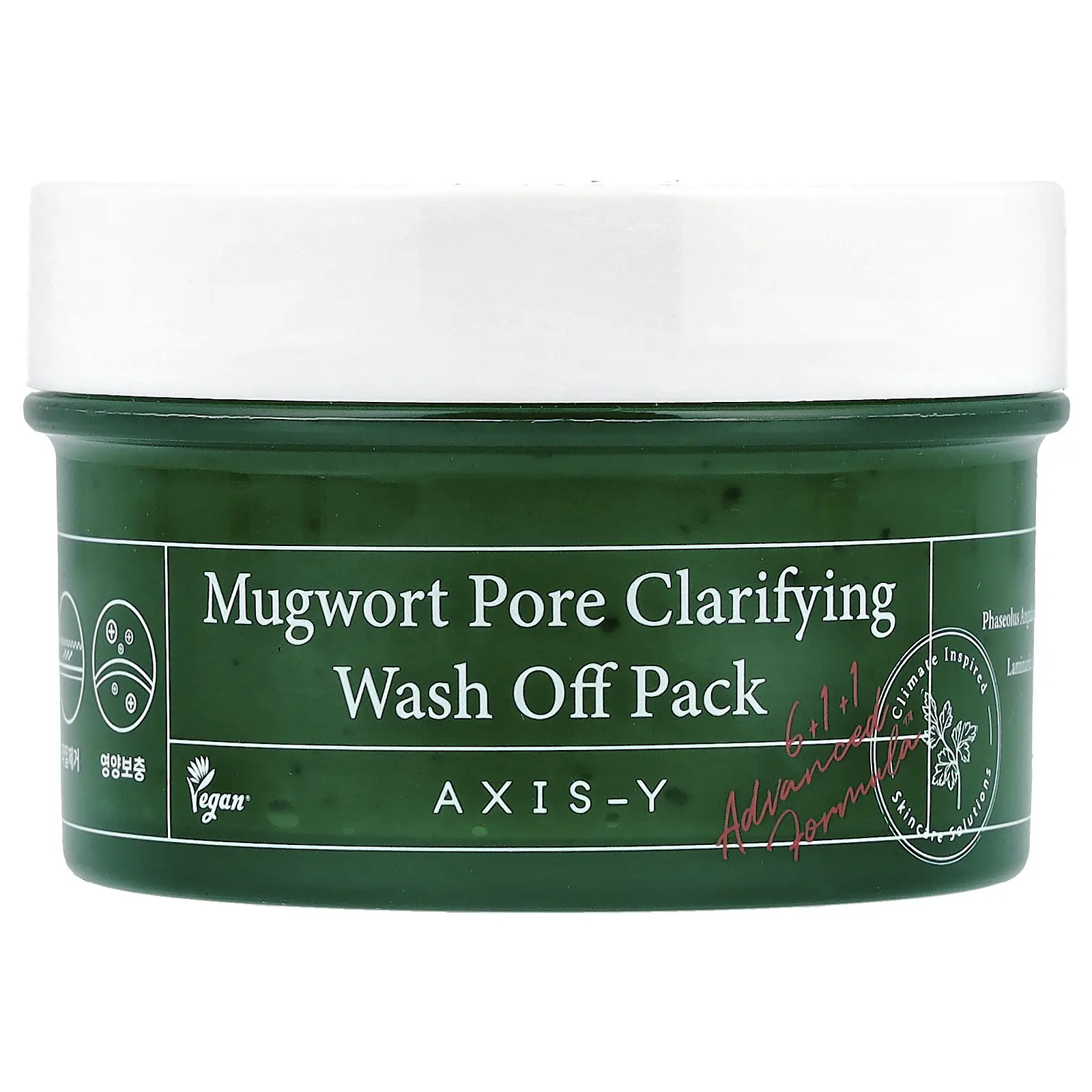 Axis-Y Mugwort Pore Clarifying Wash Off Pack, 3.38 fl oz (100 ml)