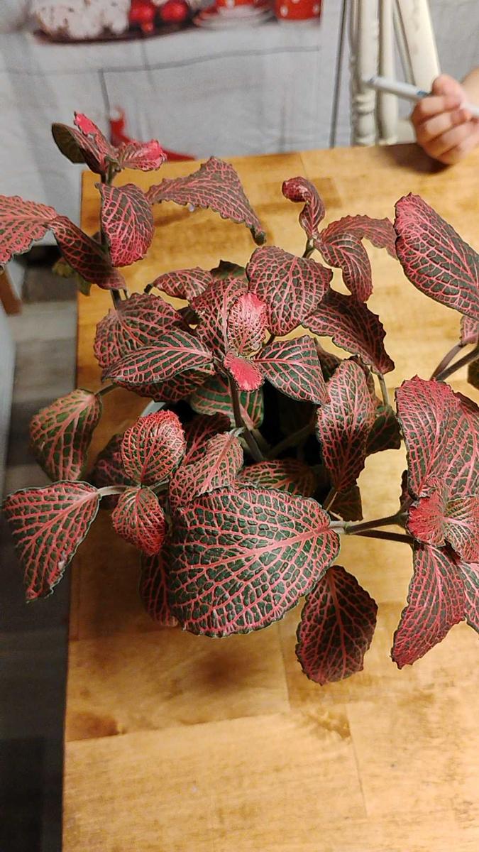 Item: 3.5 Gallon Concentration (35–50 sq. ft)