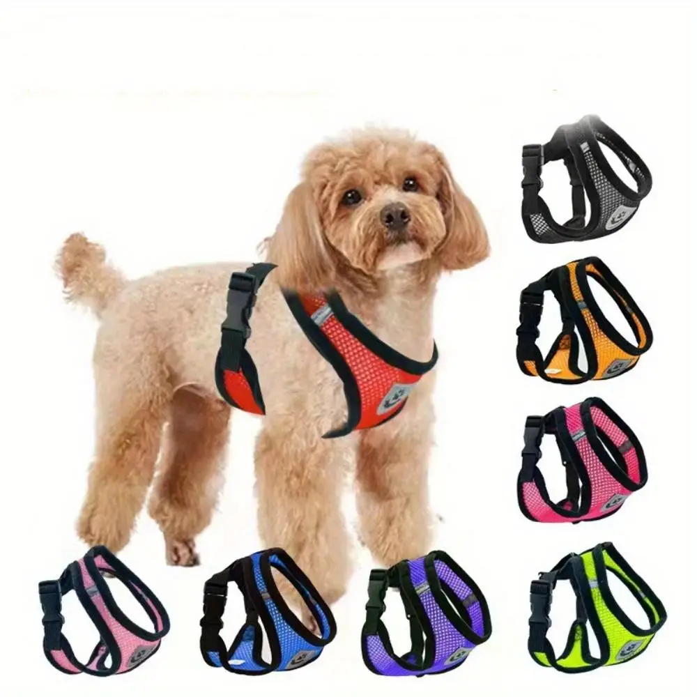Pet Harness & Leash Set, 1 Set Breathable Adjustable Pet Chest Strap & Leads, Outdoor Walking Supplies for Small Medium Dogs & Cats