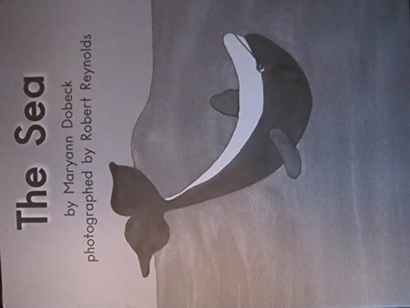 USED Book - The Sea (Fountas and Pinnell Leveled Literacy Intervention Books, Blue System, Level C, Book 3) by Maryann Dobeck (Unknown) - english