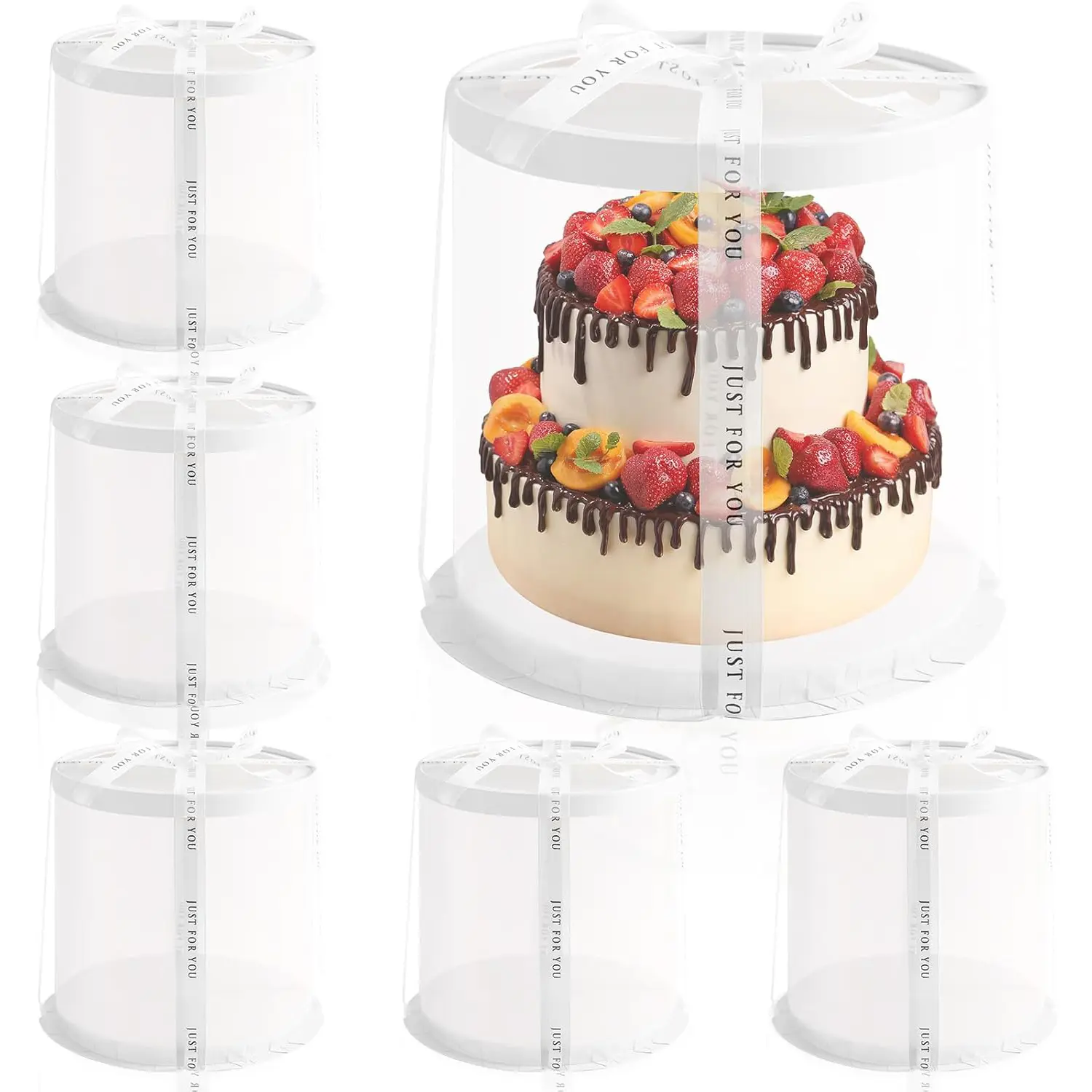 Multi-Layer 6 Pack Clear Cake Box with Ribbon,Tall Cake Box Carrier, Tiered Transparent Cupcake Packaging Containers, PET Round Cupcake Containers for Party