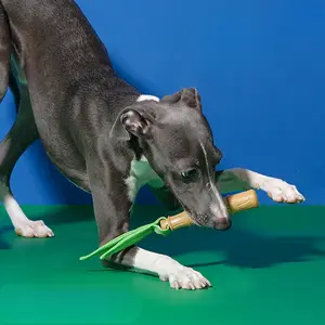 1pc Bamboo Teeth Grinding Stick, Pet Cat Teeth Cleaning Cat Toy, Self Fun, Soothing, Teasing Cat, Safe and Bite resistant Dog Toy, Bamboo Teeth Grinding Stick, Cat Teeth Cleaning, Teasing Cat, Dog Loves to Bite Too