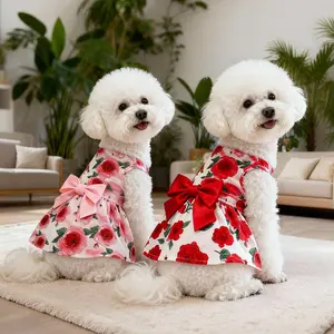 New pet clothes Valentine's Day wedding dress cute dress dog clothes skirt explosions Poodle