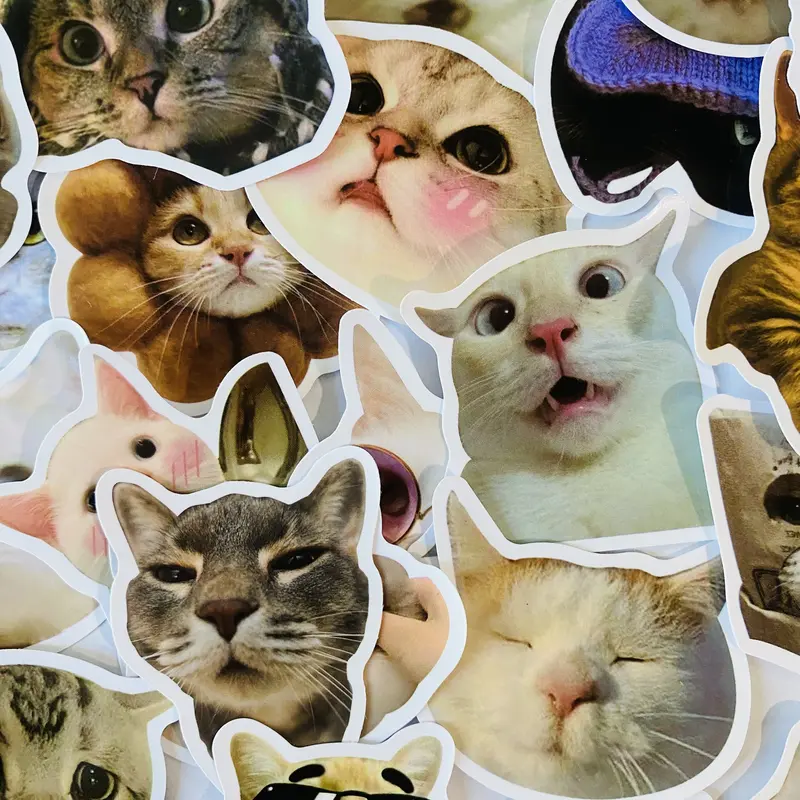 100 Pcs Meme Cat Stickers, Funny kitten stickers for Laptops Phones & Notebooks Adorable Cat Designs Cute Kitten Waterproof Stickers