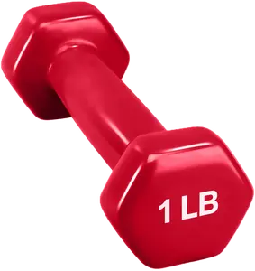 French Fitness Colorful Hex Vinyl Dumbbell 1 lb - Single (New)