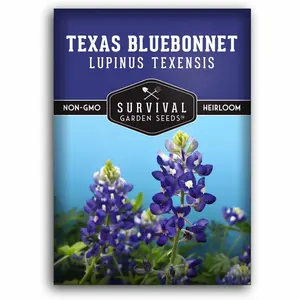 Texas Bluebonnet Seed - Lupinus Texenisis