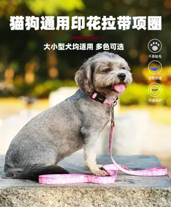 Collar with Leash Set for Smallto Medium Dogs French Bulldog Bichon Frise Teddy Blue Bone Pattern