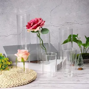 Acrylic Flower Vase, Transparent Straight Cylinder, Dried Flowers, Rose, Lily, Hydroponic Plant Holder, Smooth Surface, Durable Design