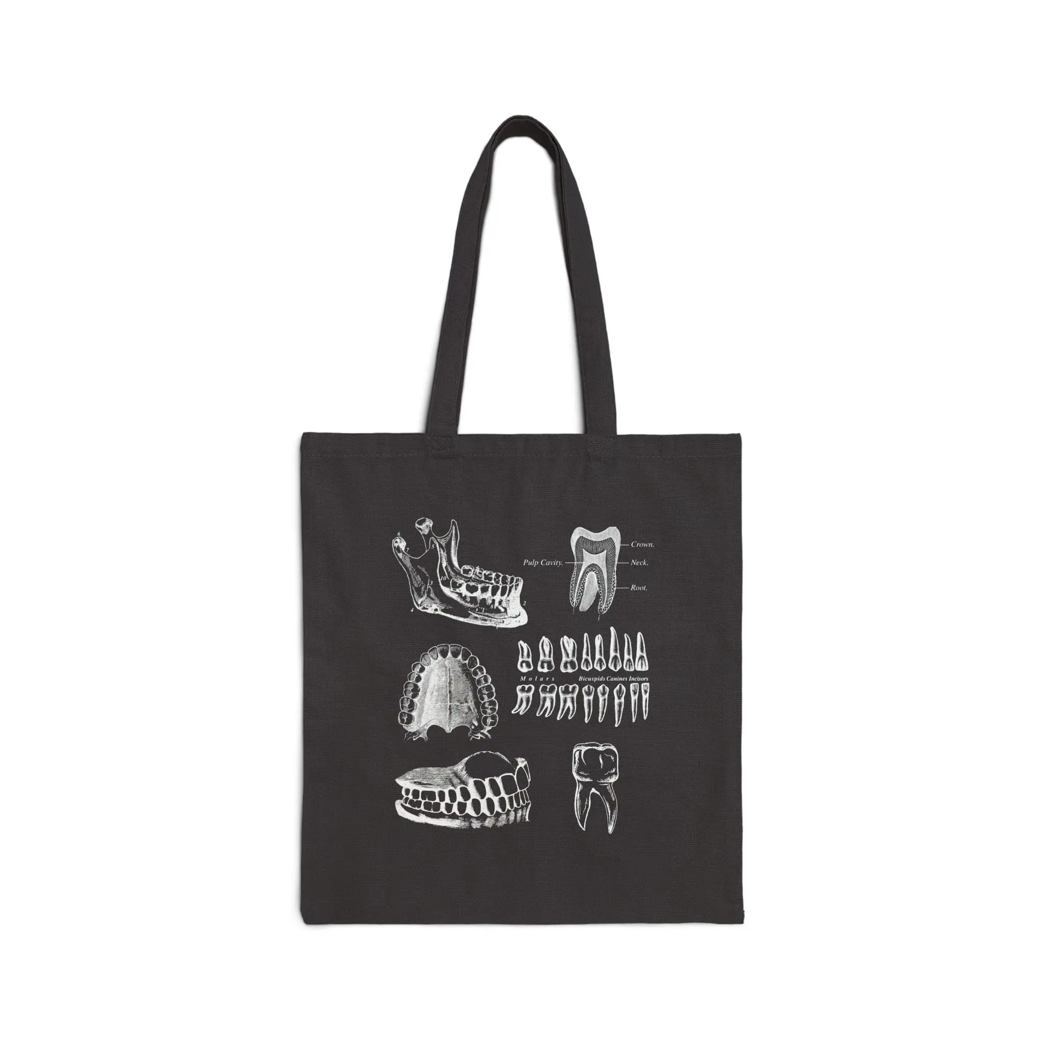 Dental Anatomy Teeth Illustration Canvas Tote Bag