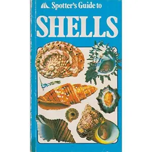 USED-Spotter's Guide to Shells: An Introduction to Seashells of the World by Graham Saunders (Paperback)