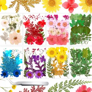 109 Pieces Dried Pressed Flowers for Resin, Real Pressed Blooms Leaves Mixed Variety of Dried Flora with Tweezer for DIY Art Crafts Scrapbooking, Candle, Nails Decor, Soap Making
