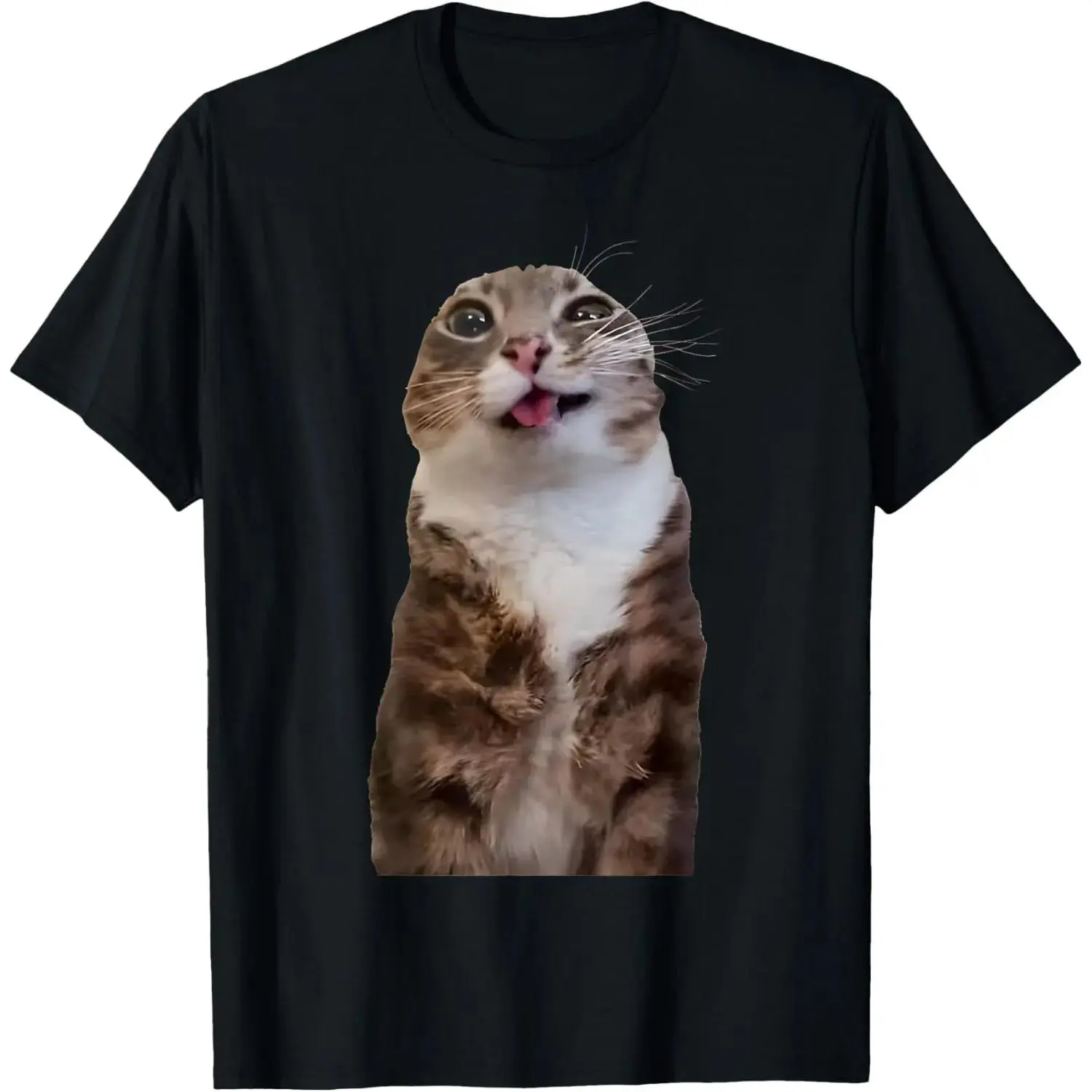 Graphic Tees Streetwear Gifts Rigby Cat Funny Rigby Cat Meme Rigby Cat Silly Cat Trendy T-Shirt Casual Soft Breathable