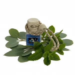 Eucalyptus Mint Scented Car Diffuser 8ml Clear Air Refresher Fragrance Oil