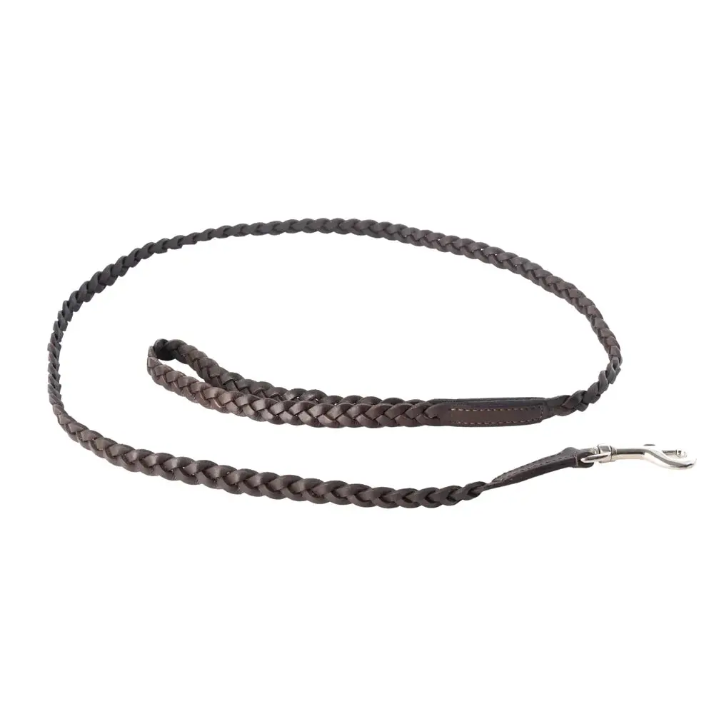 Trailbound Leather Dog Leash In Rustic Brown With Braided Design And Metal Hook