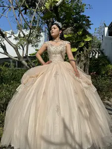 Quinceanera Ball Gown Dress Puffs Skirt Sequins, Waist Clinking Design, Light Tulle Skirt Mexican Sweet 15