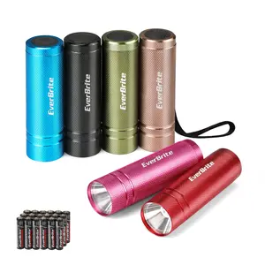 #SpringGlowUp EverBrite Mini Flashlight Set, Aluminum LED Handheld Torches with Lanyard, Assorted Colors, Batteries Included for Party Favors, Night Reading, Camping, Power Outage, Gift to Christmas