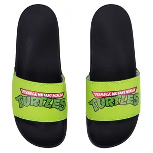 TMNT Slides TMNT Slides