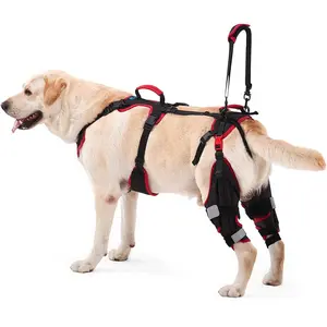Dog Knee Brace with Lift Harness for Back Legs, Set of 2 – Adjustable Non-Slip Support for Large & Senior Dogs, ACL/CCL Injury & Mobility Aid, Black, X-Large