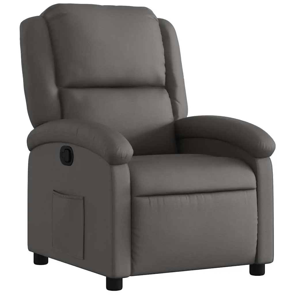 vidaXL Recliner Chair, Adjustable Reclining Chair for Elderly, Wingback Recliner Armchair for Home Theater Cinema, Modern Style, Gray Real Leather 371792