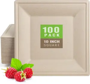 100 Pack Compostable Square Plates 10 Inch Disposable Paper Plates Sugarcane Square Dinner Plate Unbleached Eco-friendly Large Plate for Party