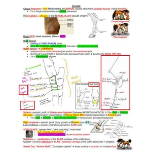 NAVLE Ultimate Success Pack: Comprehensive Study Notes  for Veterinary School and NAVLE - Complete NAVLE Prep and NAVLE Study Guide