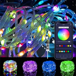 16.4FT USB Fairy Strip Lights Remote &amp; App Controlled, 50LEDs DIY Twinkle Lights, Quick Setup Music Sync Led Lights for Bedroom, Parties, Wedding, Centerpiece, Decoration