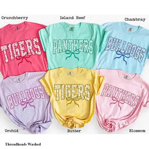 Comfort Colors Personalize University Floral Coquette Mascot T-Shirt, Custom Name Gifts For Back To School, Team Mascot Shirt, School Logo Tee Top Womenswear Gift for Her
