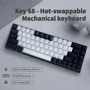 68 Keys Hot Swap Mechanical Keyboard | Red Linear / Blue Clicky Switches Optional, Custom RGB Lighting, Portable Compact Keyboard for PC & Daily Use