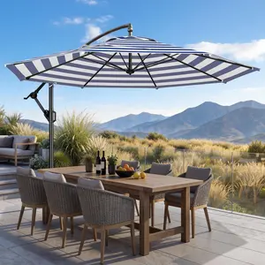 【Premium Shade】10ft Offset Patio Umbrella, UPF50+ UV Protection, 220gsm Fade-Resistant Canopy, 8 Thick Ribs, 30MPH Wind Resistant, Infinite Tilt & Easy Crank, Cantilever Umbrella for Garden Backyard Poolsi