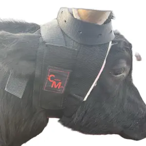 Cowboy Mafia Steer Horn Wrap