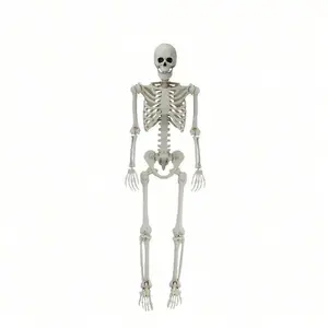 5ft Poseable Skeleton Decoration, Halloween Outdoor Decoration inflatable Remote Control Glowing Ghost Decor Bubble Bath Light long inflatables Light-Up Spooky up balloons Acrylic Catcher tree branch design pvc tip Metal Bat Wall LED Decorative Sticker