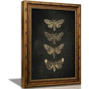 Vexlynora Vintage Gold Framed Moth Butterfly Canvas Wall Art - Gothic Dark Moody Cottagecore Insect Print Decor for Living Room Bedroom Farmhouse Office Home 9X11in