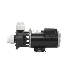 212 MAIN Flo-Master XP2 Series Dual-Speed High Flow 2 hp Swimming Pool Booster Pump, 230V, Swimming Pool Pumps