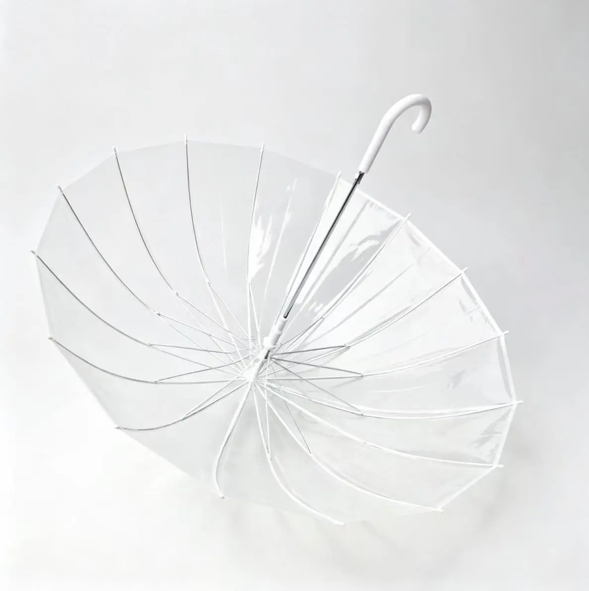 clear transparent umbrella