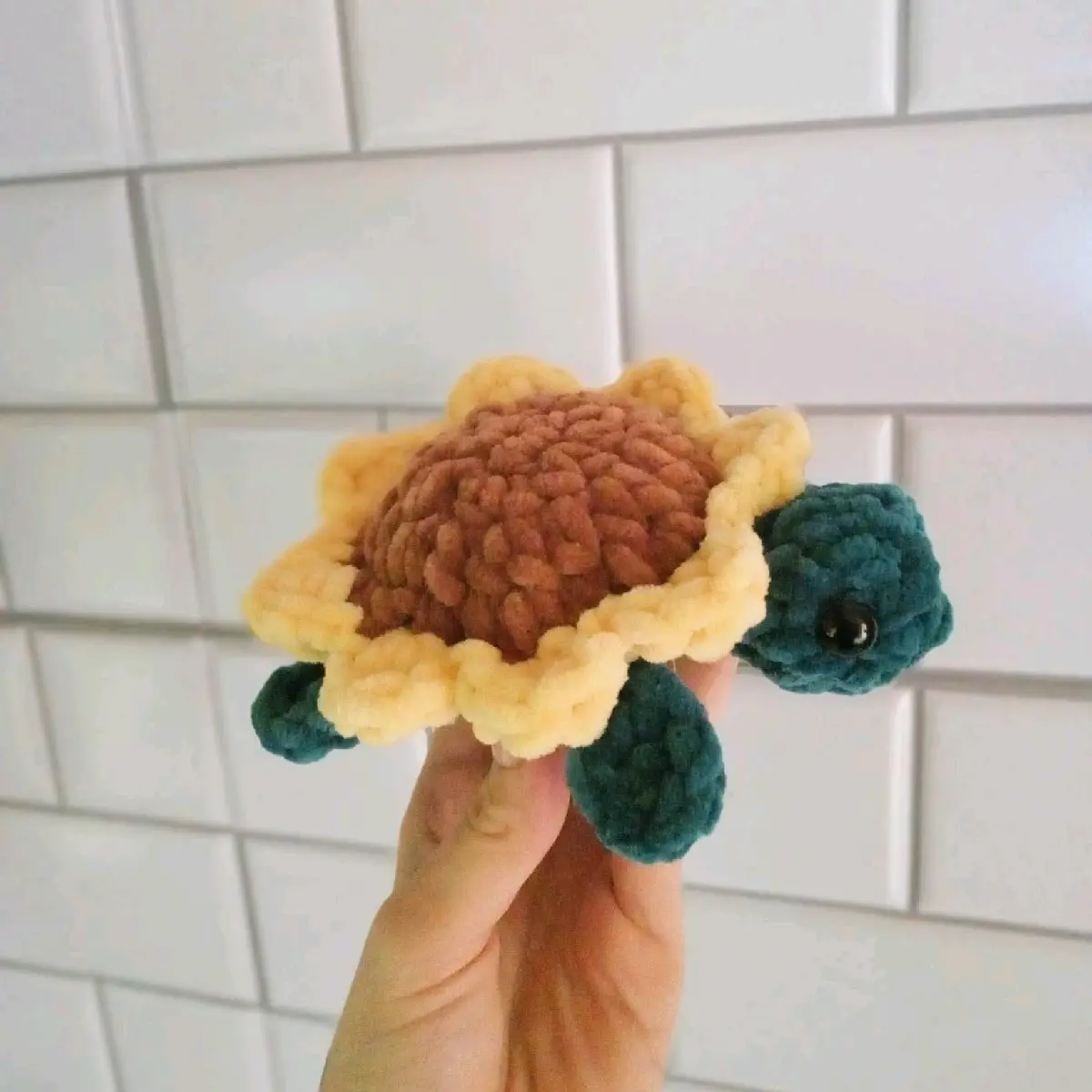 sunflower turtle