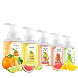 Lovery Foaming Hand Soap Set — Citrus Aloe Vera — 5pc Moisturizing Pump Soap