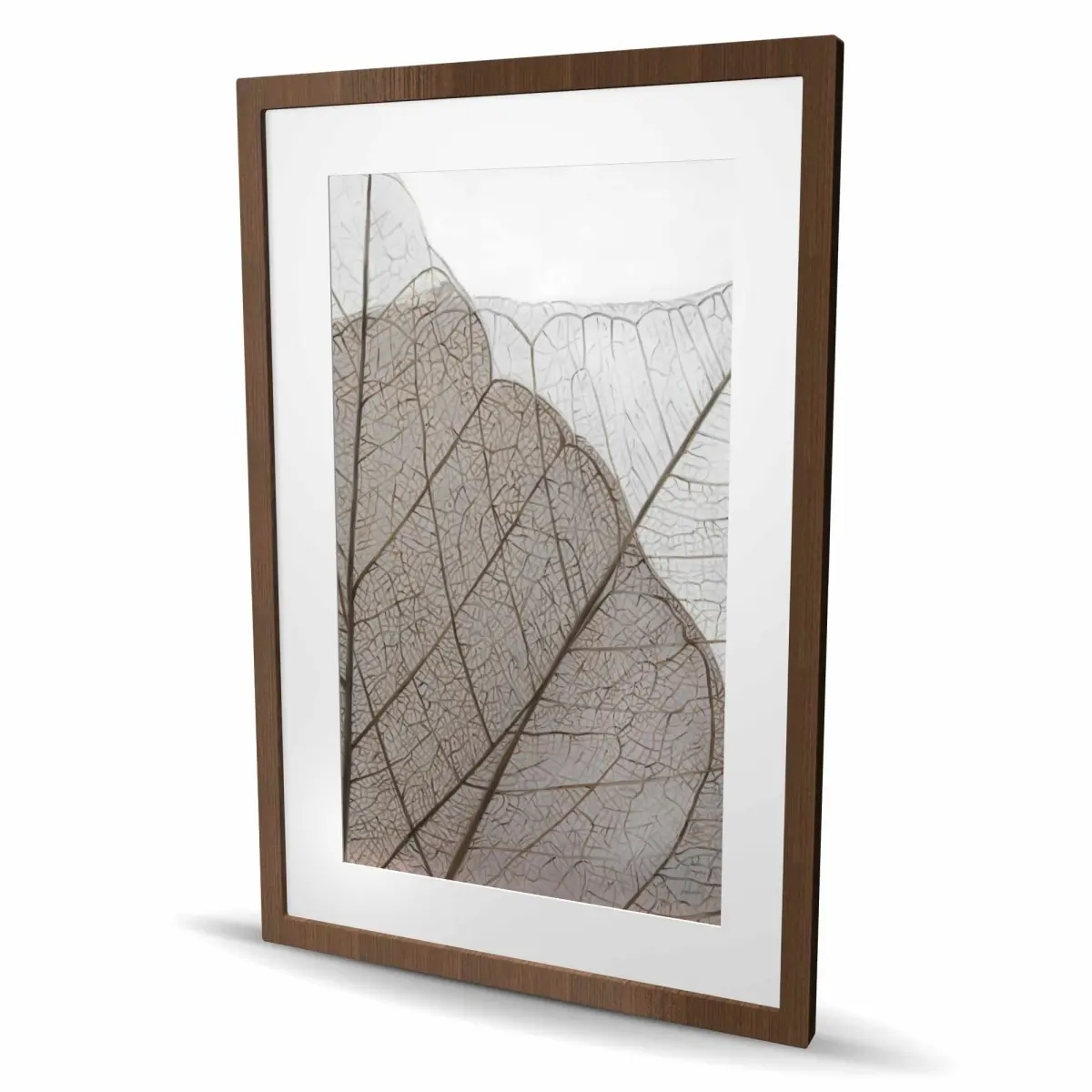 Begin Home Decor C1FM243662XOWP 24x36 in. Artistic Nature Wall Artwork - Brown Translucent Dried Leaves Framed Print for Livingroom Decoration