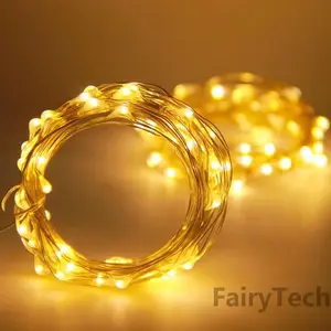 10 meter LED Fairy Light String, 100LEDs, Warm Light, USB Powered, Copper Color, Perfect for Christmas Decorations, Parties, Weddings
