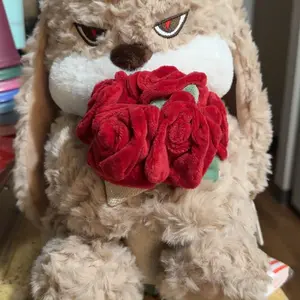 【ZEIO TOYS】RoseDiuDiu  plush toy rabbit doll cute rabbit baby doll soothing doll for boys and girls birthday gift, holiday gift, gift for giving cat hunting Cool Drop