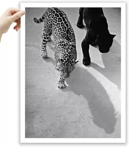 Home Decor Spirit Cheetah and Jaguar Walking Wall Art, 12x18 in Vintage Black and White Funny Bathroom Canvas Art, Fashion 1950s Poster Decor, Set of 1 for Bedroom Living Room UNFRAMED