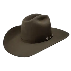 Resistol 6X Midnight Sage Felt Western Hat RFMDNT-RB4242