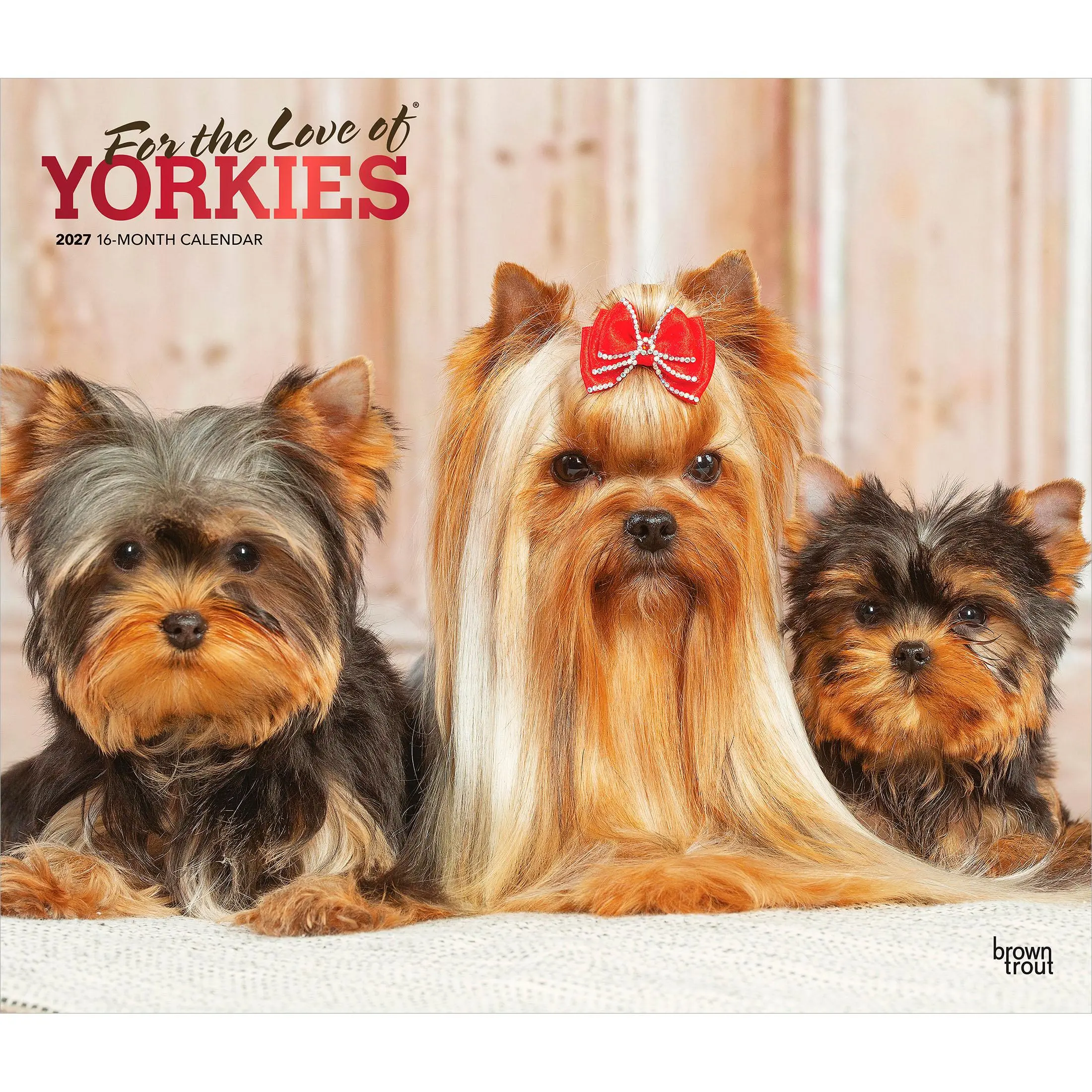 For the Love of Yorkshire Terriers | 2027 14 x 24 Inch (Hanging) Monthly Deluxe Wall Calendar | Foil Stamped Cover | Plastic-Free | BrownTrout | Animal Small Dog Breeds