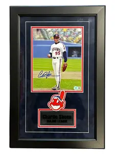 Charlie Sheen (FSP) 8x (Authentic Signature)