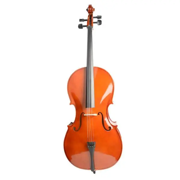 Cello 4/4 Acoustic Cello Set with Retro Look Case, Bow, Rosin, Elegant Design, Lightweight Padding, Maple Wood, Basswood Neck, Spruce Top for Beginner Students