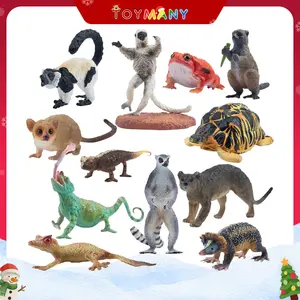 12PCS Madagascar Animal Figurines Set, Realistic Jungle Animal Toys Set Includes Lemur, Chameleon, Tortoise,Gecko,Fossa,Sifaka -Educational Forest Animals Figure Toy Collection for Kids Adults