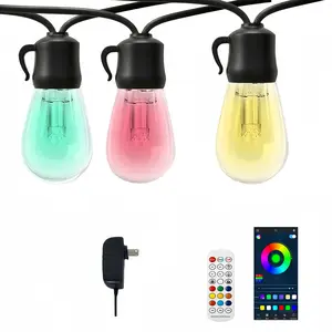 Smart Outdoor String Lights 2, 49 Feet LED Bulbs, Adjustable Warm, Multiple Scene Modes, Ip65 Waterproof, APP Control#OutdoorStringLights #PatioLights #IP65WaterproofLights #GardenLights #CampingLights #PartyLights #WarmWhiteLights #USBStringLights #Backy